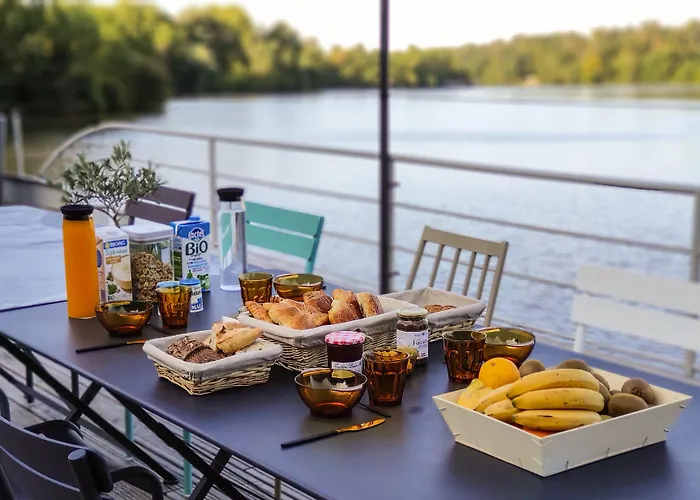 Hôtel accueillant les animaux: La Rivière House - Péniche Carpe Diem